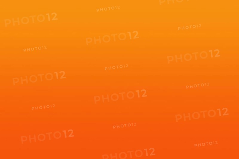 Tangerine orange gradient texture