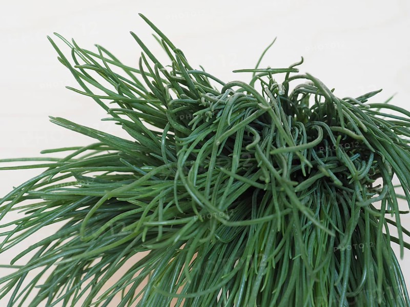 Agretti
