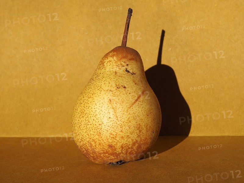 Pear fruit still life