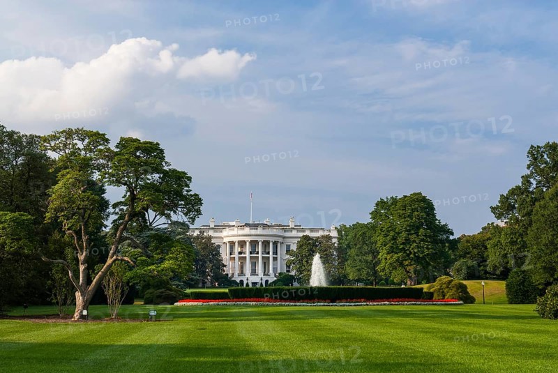The white house