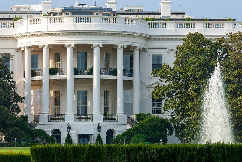 The white house