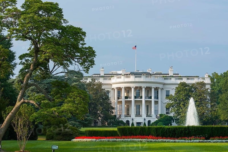 The white house