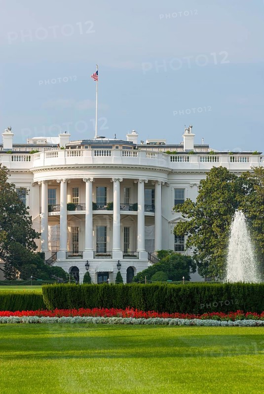 The white house