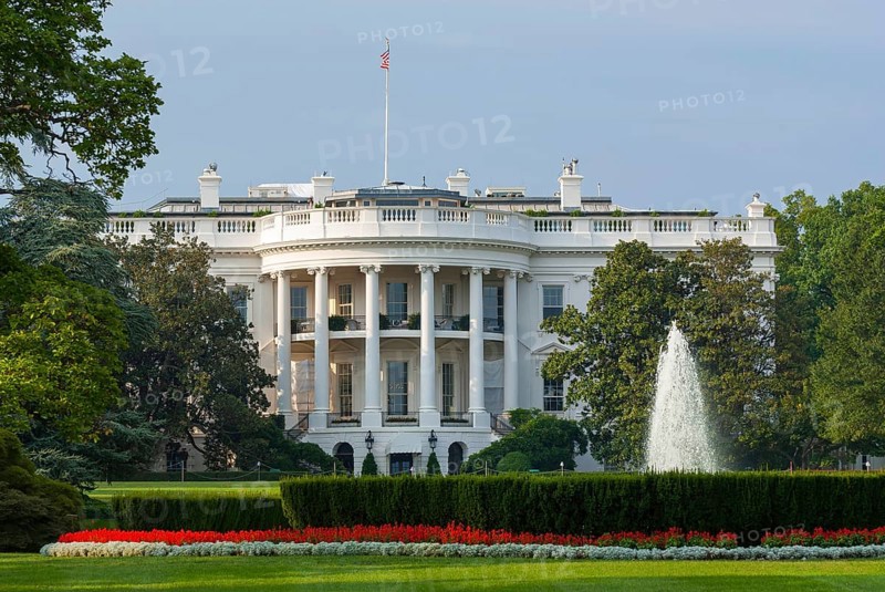 The white house