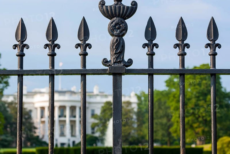 The white house with park