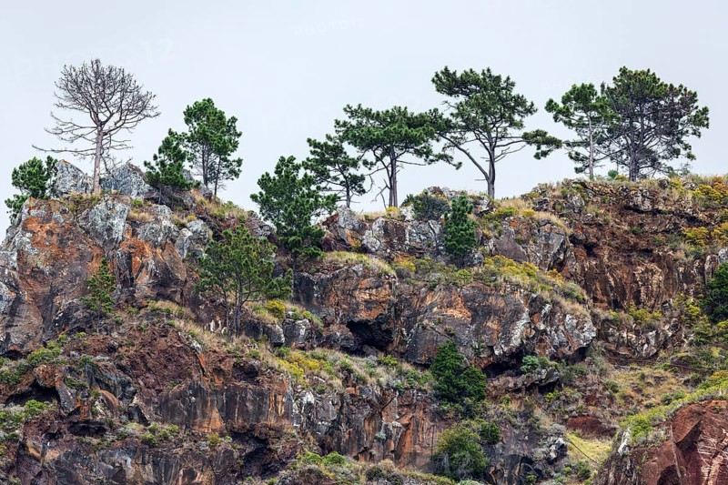 Weathered lava rocks on the cliffs
