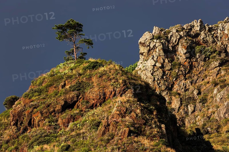 Weathered lava rocks on the cliffs