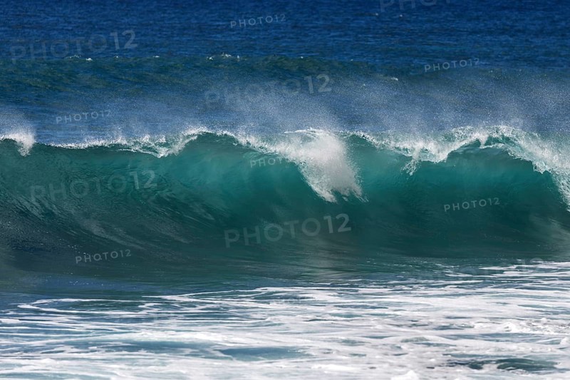 Sea