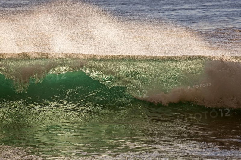Sea