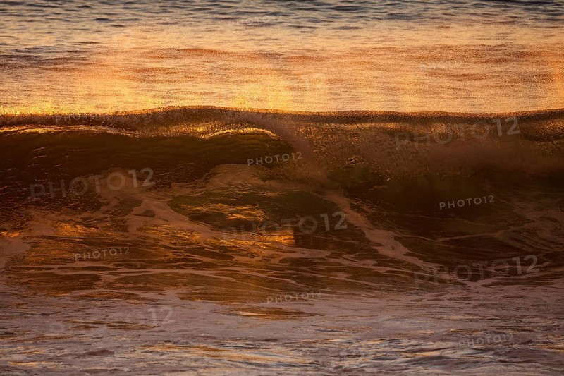 Sea