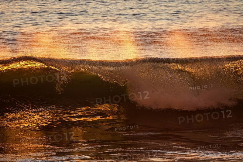 Sea