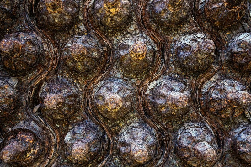 Rusted bolts on a disused factory site