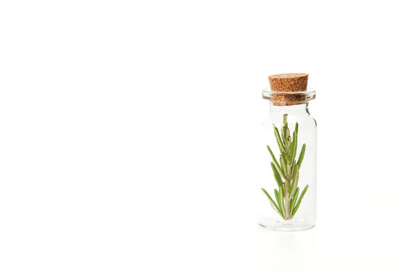 Close-up of a glass jar with branches of fresh rosemary isolated on a white background