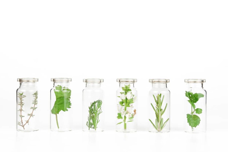 Aromatic plants in a glass jar isolated on a white background