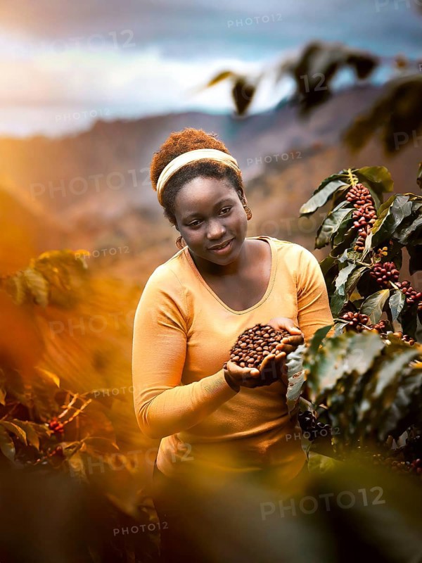 African woman harvesting on a coffee plantation