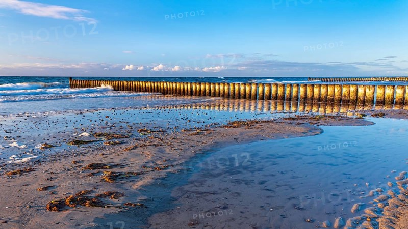 Groynes on the beach of the Baltic Sea in the evening light
