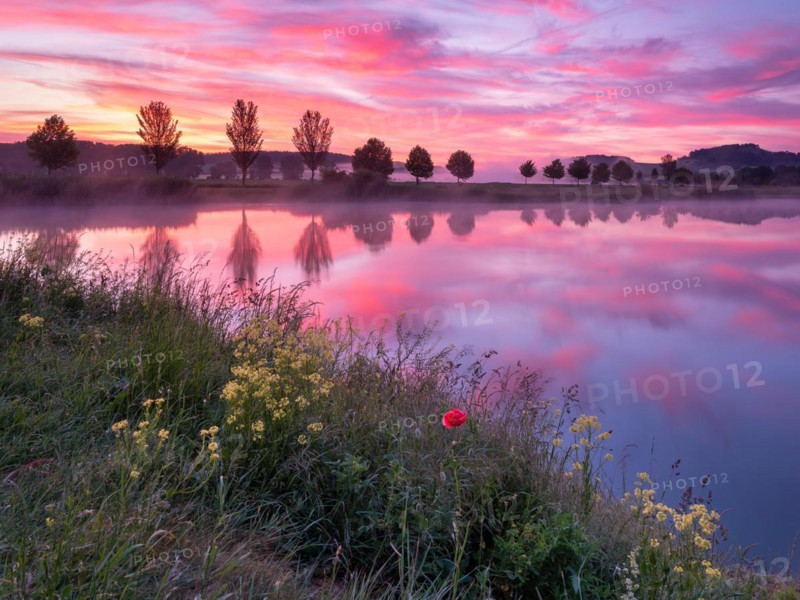 Quiet lake at dawn