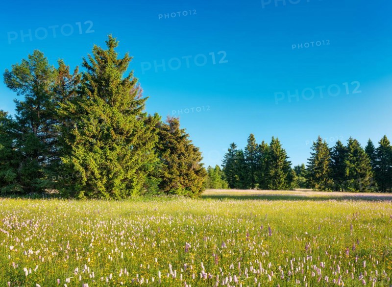Typical landscape of the Rhoen