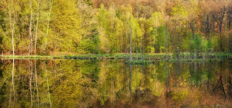 Lake in spring