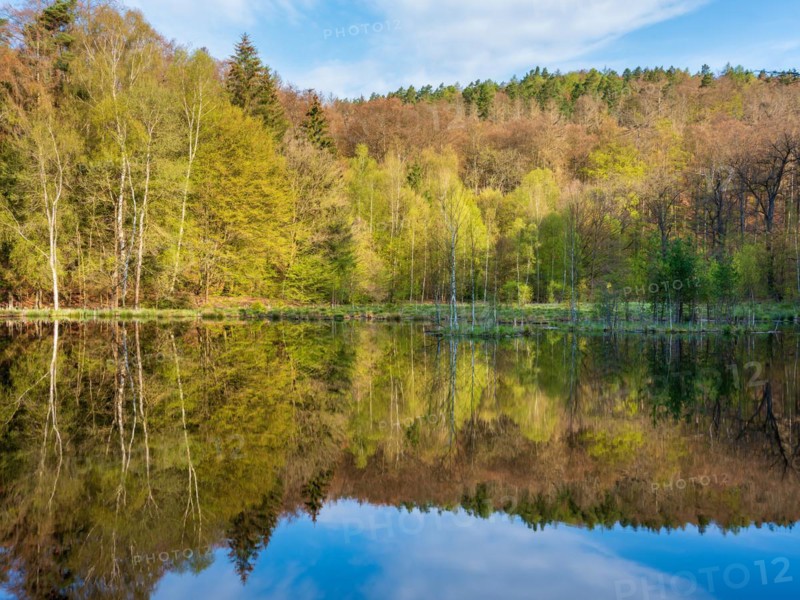 Lake in spring