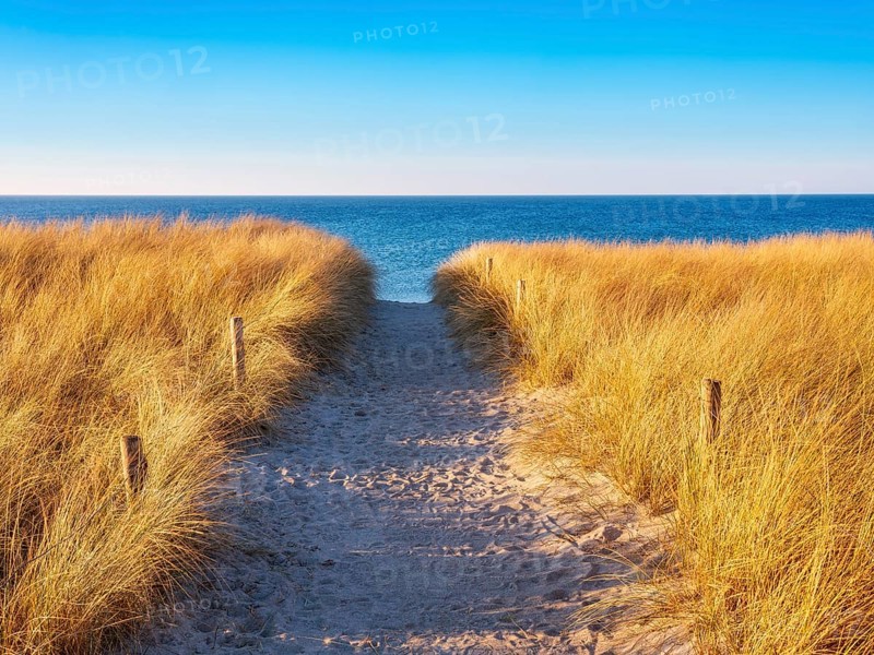 Beach access at the Baltic Sea in the evening light