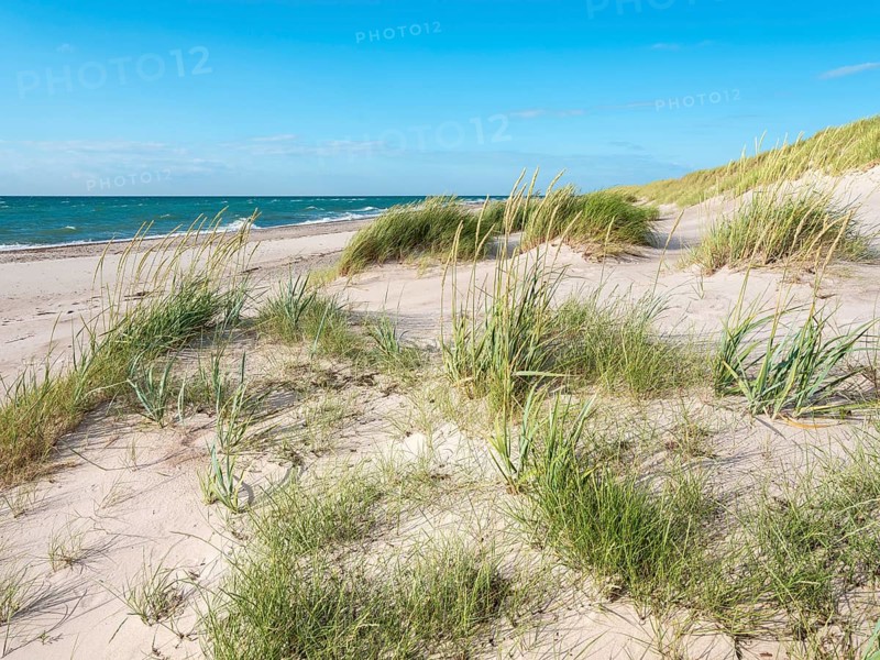 Summer day by the sea