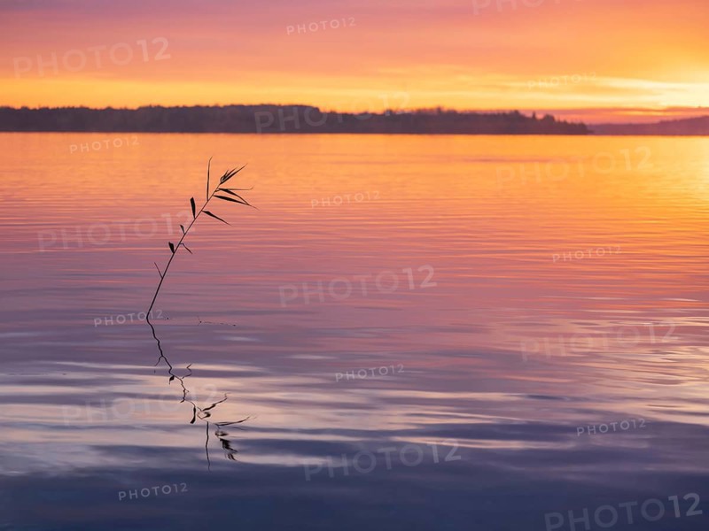 Clear calm lake at sunrise