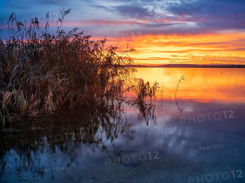 Clear still lake at sunrise
