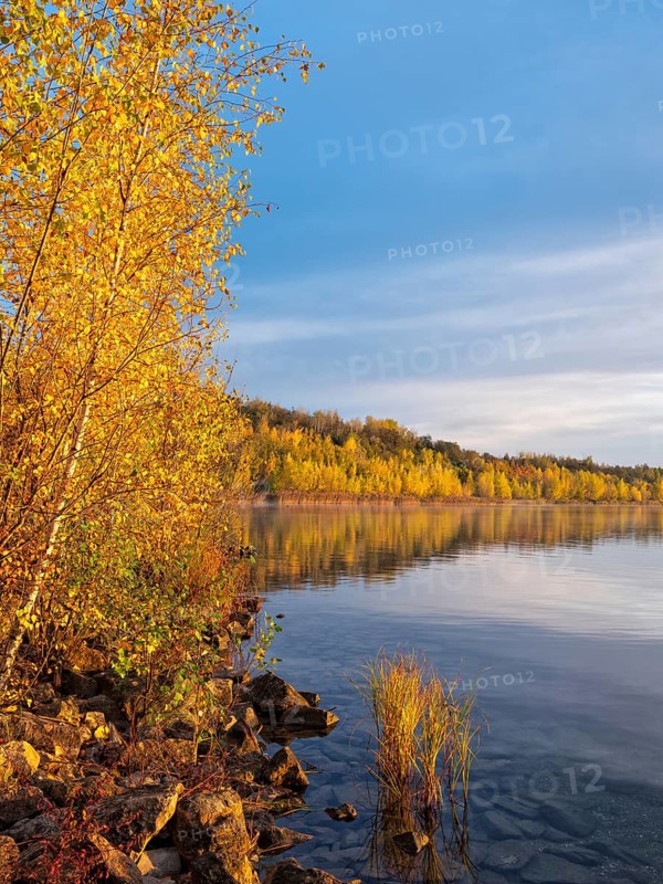 Autumn at the Geiseltalsee