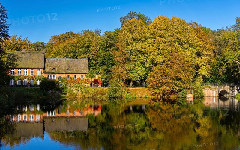 Autumn season