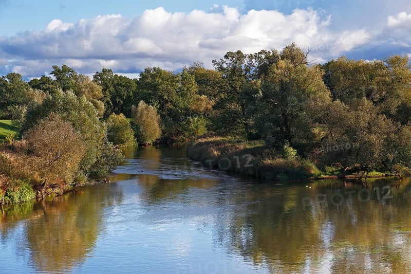 Autumn in the floodplain