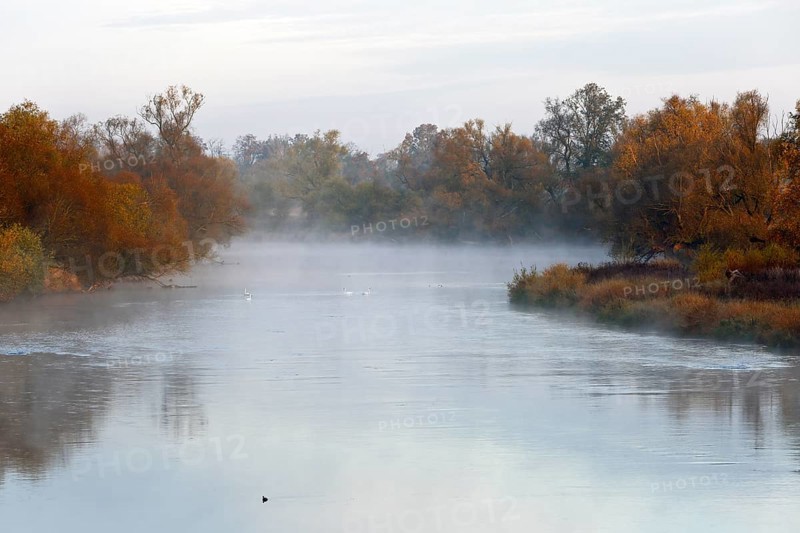 Autumn in the floodplain