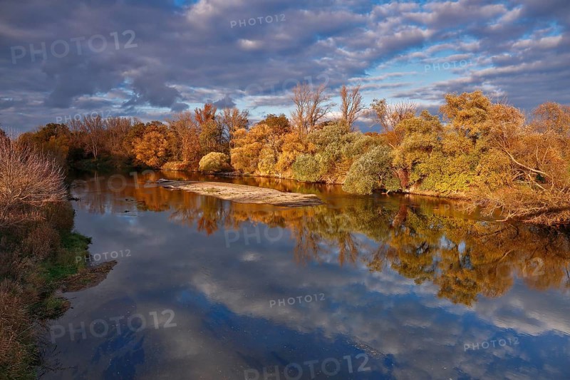 Autumn in the floodplain