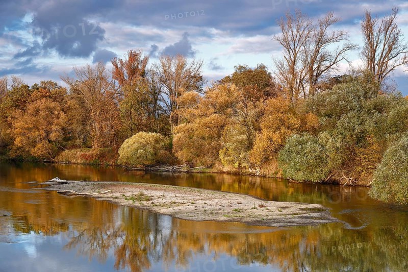 Autumn in the floodplain