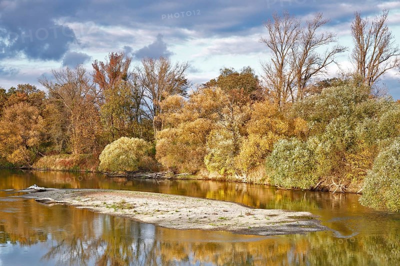 Autumn in the floodplain