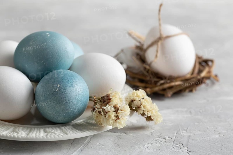 High angle easter eggs bird nest with plate flowers