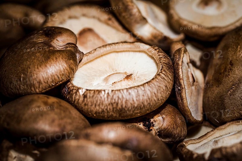Macro shot fresh mushrooms