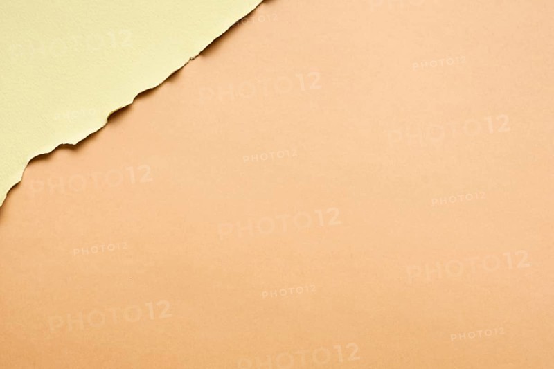 Neutral pack cardboard sheets with copy space