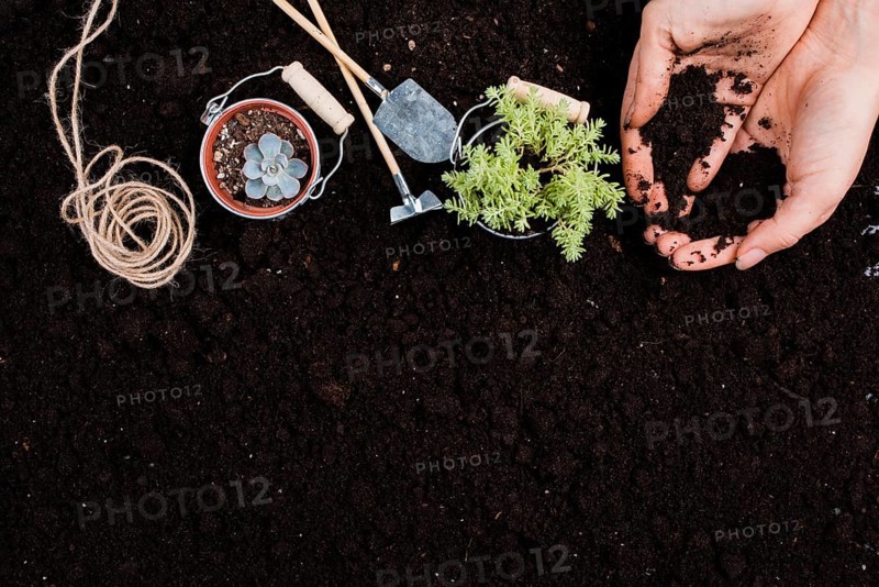 Plants buckets with copy space