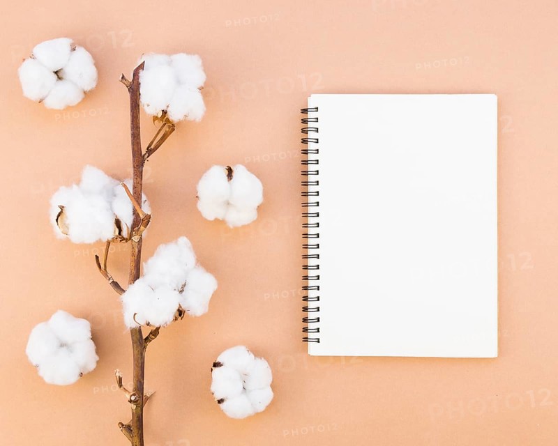 Top view arrangement with cotton flowers notebook