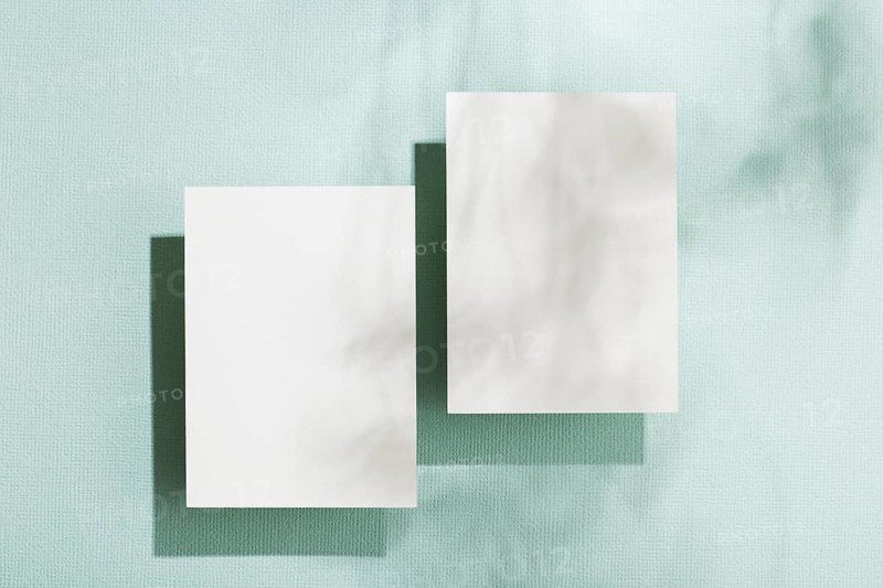 Top view collection business cards