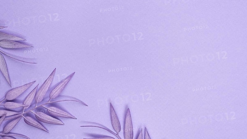 Top view monochromatic leaves with copy space