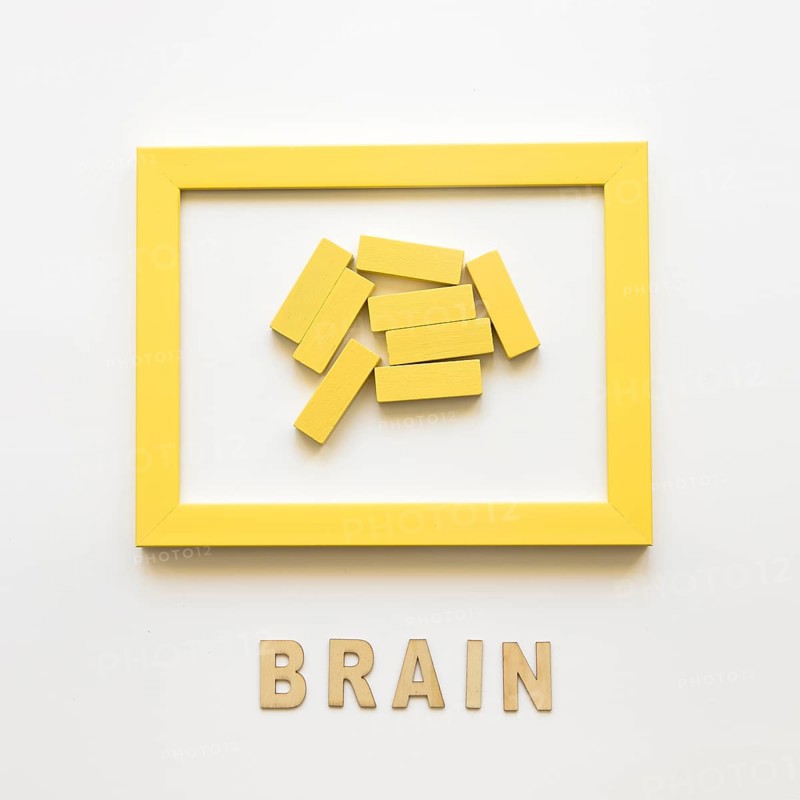 Yellow frame with wooden blocks near brain word