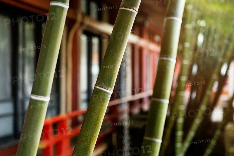 Asian touristic attraction place 26
