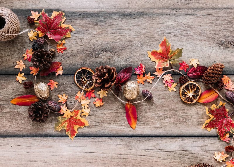 Autumn elements lying crooked