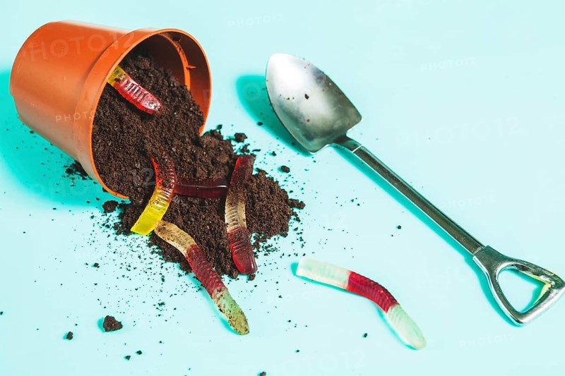 Jelly worms overturning pot with ground near shovel