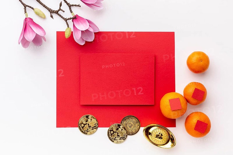Magnolia coins with card mock up chinese new year