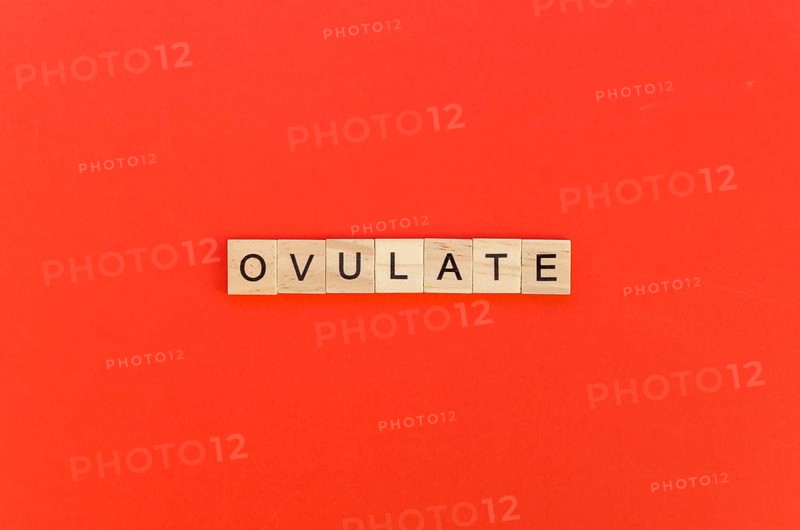 Ovulate word with scrabble letters red background