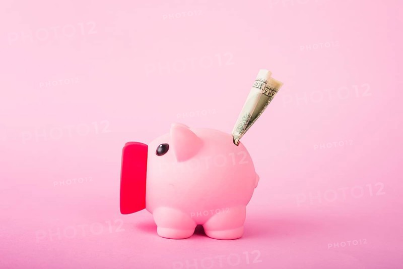 Pink piggy bank with money