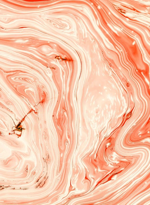 Salmon tree shell abstract oil
